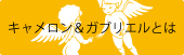 キャメロン&ガブリエルとは キャメロン&ガブリエルとは