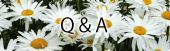 Q&A Q&A